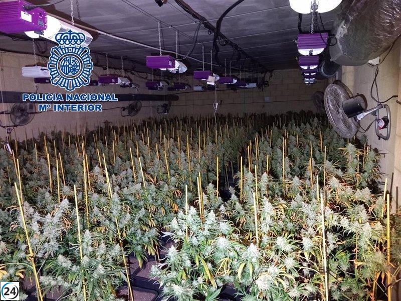 18 detenidos tras desmantelar banda en Sevilla dedicada a robar droga a otros narcotraficantes.