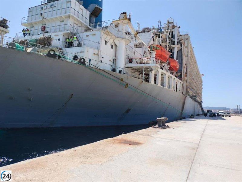 Barco de 16.000 vacas intervenido por la Audiencia Nacional es atracado en San Roque (Cádiz).