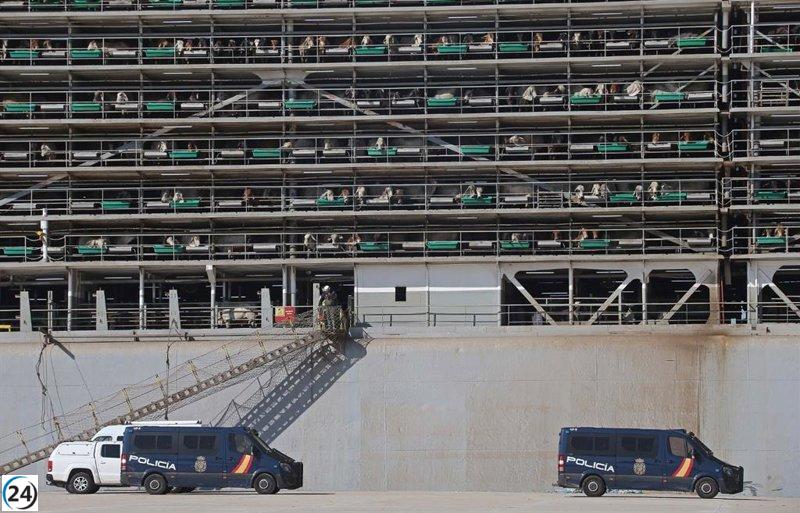 Inspección por drogas en barco con ganado intervenido en San Roque por la Audiencia Nacional.