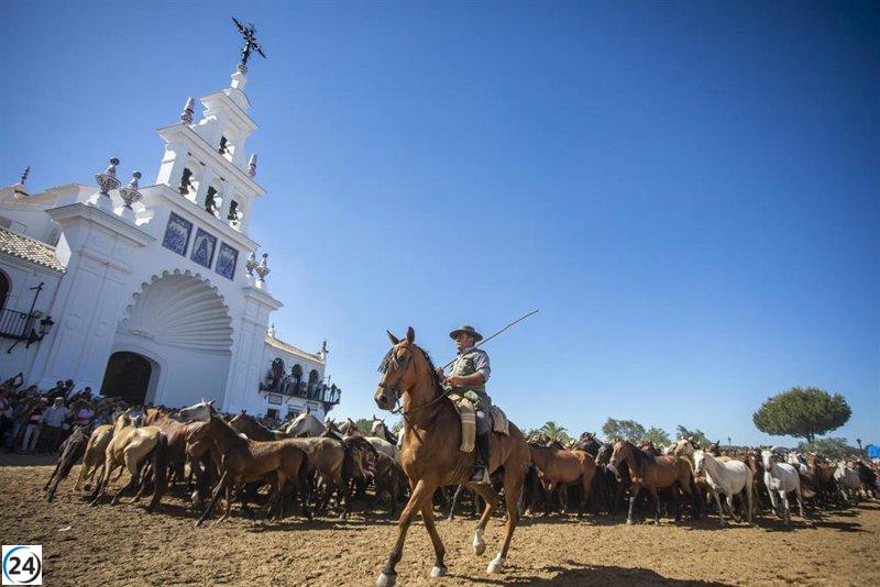 La Saca de las Yeguas desplaza 1.500 cabezas hasta Almonte.