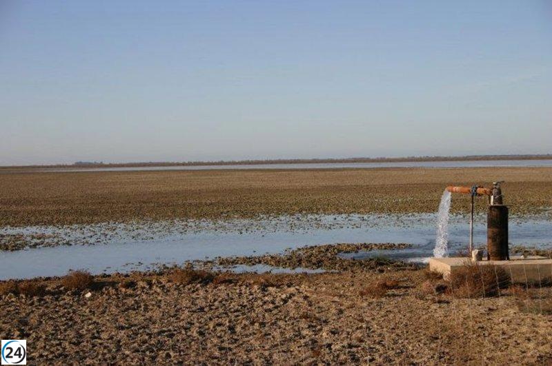 La CHG pide acceso judicial a finca con pozos dudosos en Aznalcázar