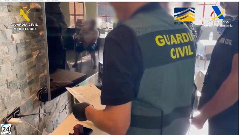 Desmantelada red en Guadix que ocultaba drogas entre ovejas y las distribuía a países centroeuropeos.