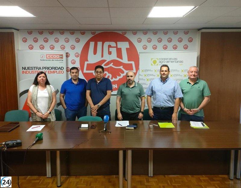 Sindicatos exigen acciones para apoyar a cooperativas y trabajadores de Jaén ante nueva mala campaña oleícola