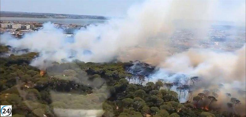 Incendio forestal en Puerto Real (Cádiz) obliga a cortar AP-4 en el km 104