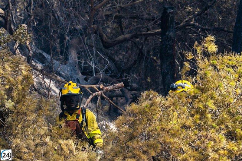 Viento de levante limita el trabajo de medios aéreos en el incendio de Puerto Real (Cádiz)
