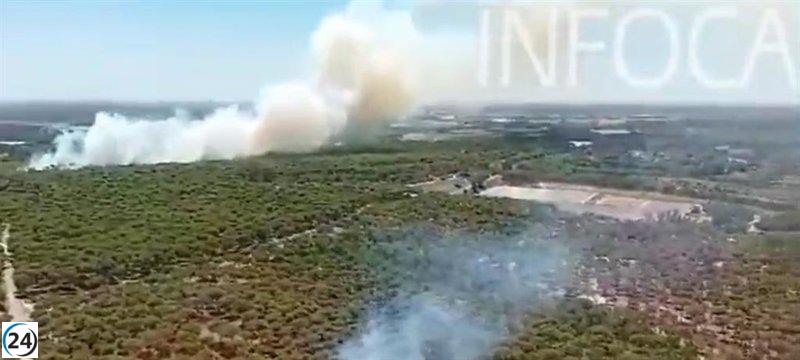 Completamente extinguido el incendio de Bonares (Huelva) y se avanza en su remate y liquidación.