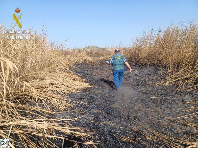 Varón en Sevilla investigado por provocar intencionadamente incendio en Dehesa de Abajo, protegido naturalmente.