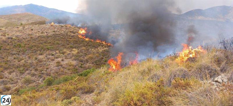 Bomberos forestales hacen progresos contra el incendio de Benahavís (Málaga)