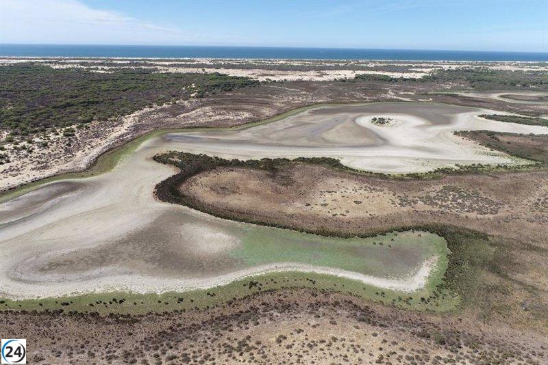 La Unesco y los ecologistas levantan voces ante el deterioro incesante de Doñana.