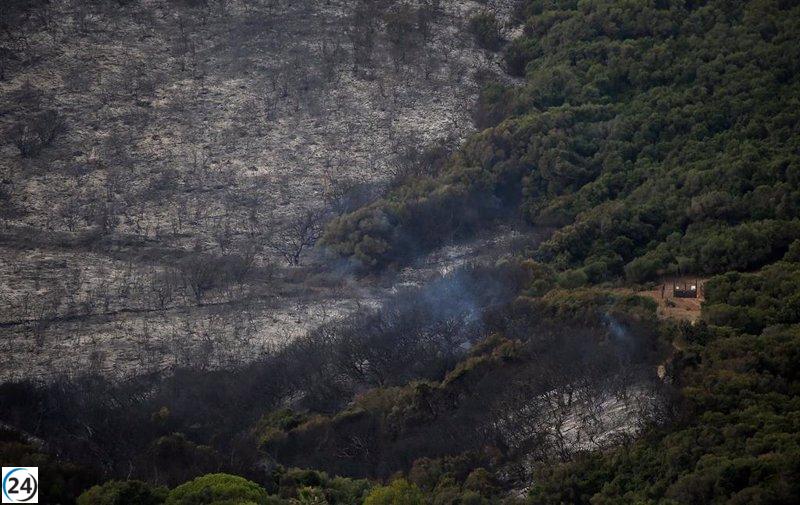 Incendio forestal en Algeciras (Cádiz) controlado después de devastar 150 hectáreas