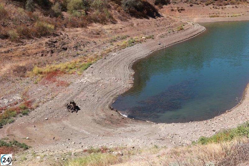 La sequía en Andalucía genera gran 