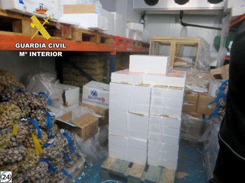 Descubiertas más de 4 toneladas de pescado y marisco en Úbeda (Jaén) que no cumplen los estándares de consumo