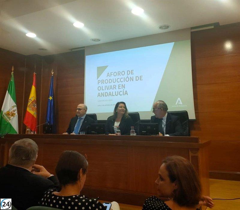 Andalucía alcanzará una producción récord de aceite de oliva con 550.600 toneladas, un incremento del 7,4% respecto a la campaña anterior.