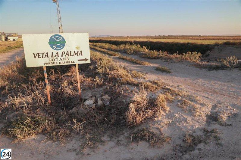 La Junta se compromete a formar un equipo de trabajo para determinar las acciones a seguir en 'Veta La Palma' tras su adquisición.
