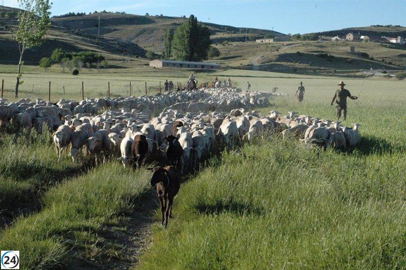 Los agricultores y ganaderos andaluces recibirán más de 780 millones de euros en adelantos de la PAC.