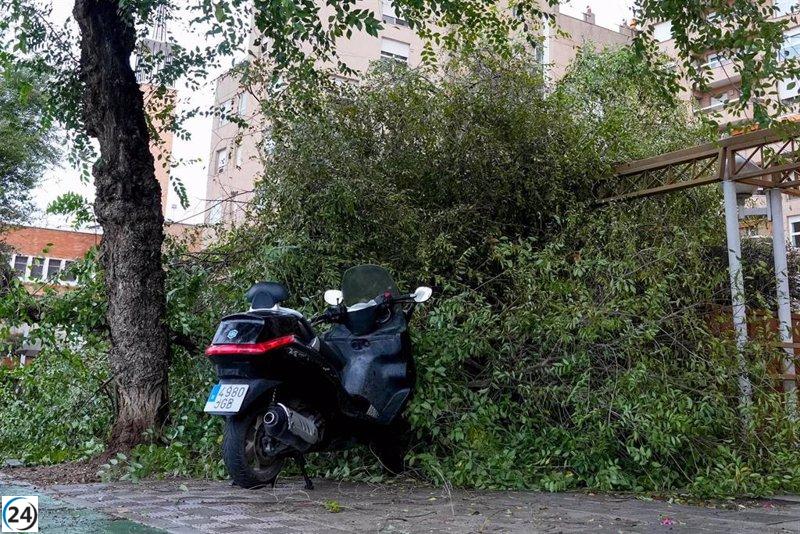 Andalucía registra más de 1.750 incidentes debido a la tormenta Aline