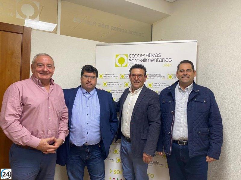 Fusionan cooperativas de Jaén para optimizar molturación de aceitunas y reducir gastos