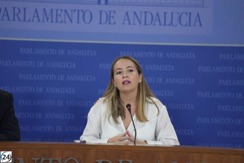 PSOE-A critica la falta de credibilidad y eficacia del presupuesto andaluz de 2024 en abordar los desafíos ciudadanos.