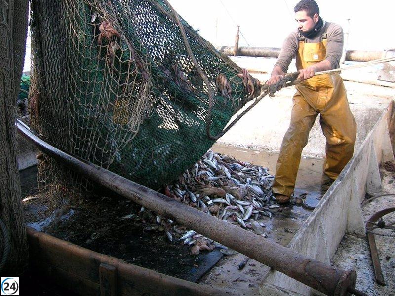 La distribución de cuotas de la UE vuelve a decepcionar y perjudicar al sector pesquero de Andalucía.