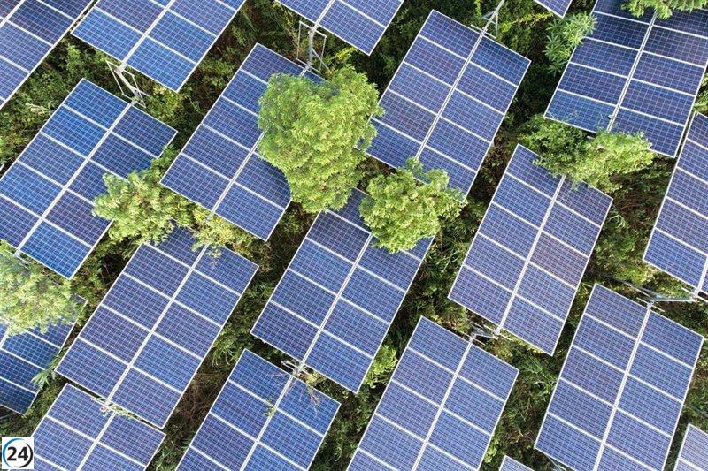 Cepsa se enfoca en fortalecer la biodiversidad en sus proyectos renovables
