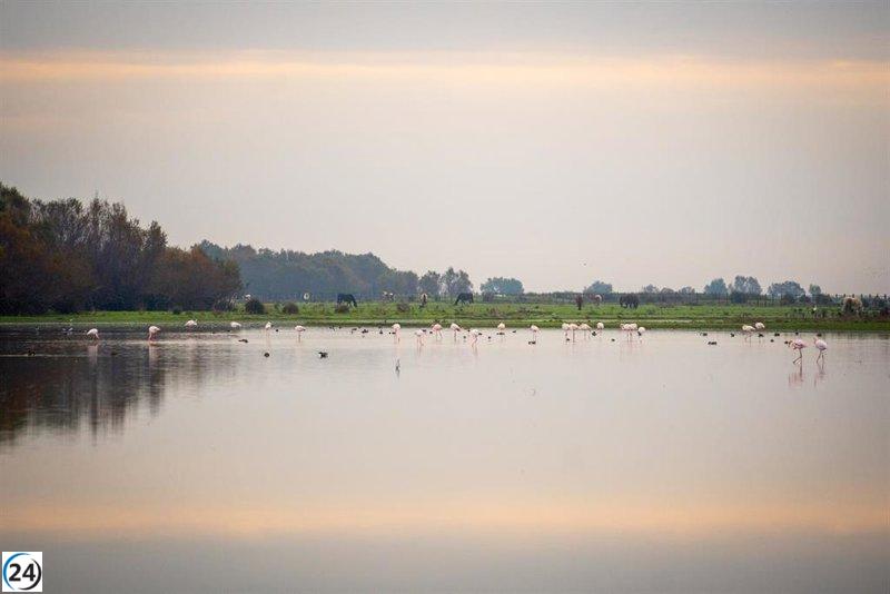 Doñana, cuestionado para ingresar en la Lista Verde de la IUCN a pesar de aún ser considerado como candidato.