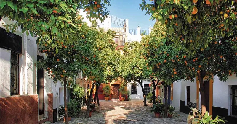 Sevilla: La Ciudad de la Historia y la Cultura