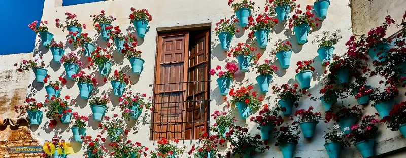 Los Patios de Córdoba: Tesoro Cultural Inigualable