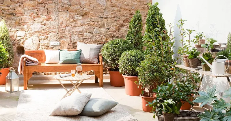El patio andaluz: un oasis de frescura en pleno verano