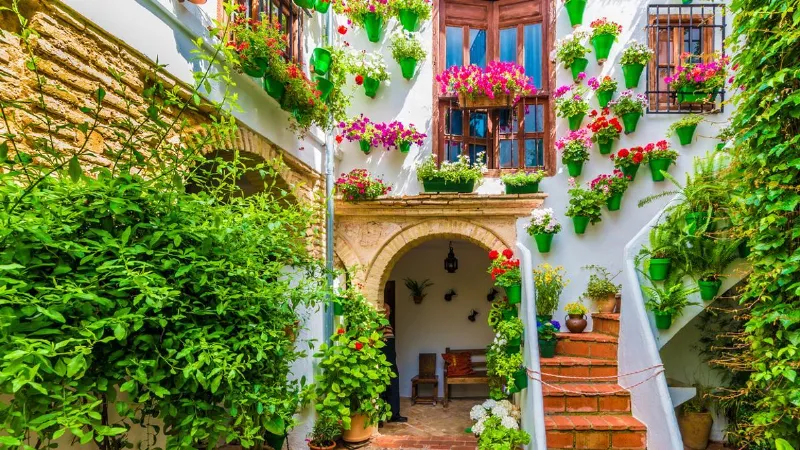 Los patios de Córdoba: una maravilla de la arquitectura popular